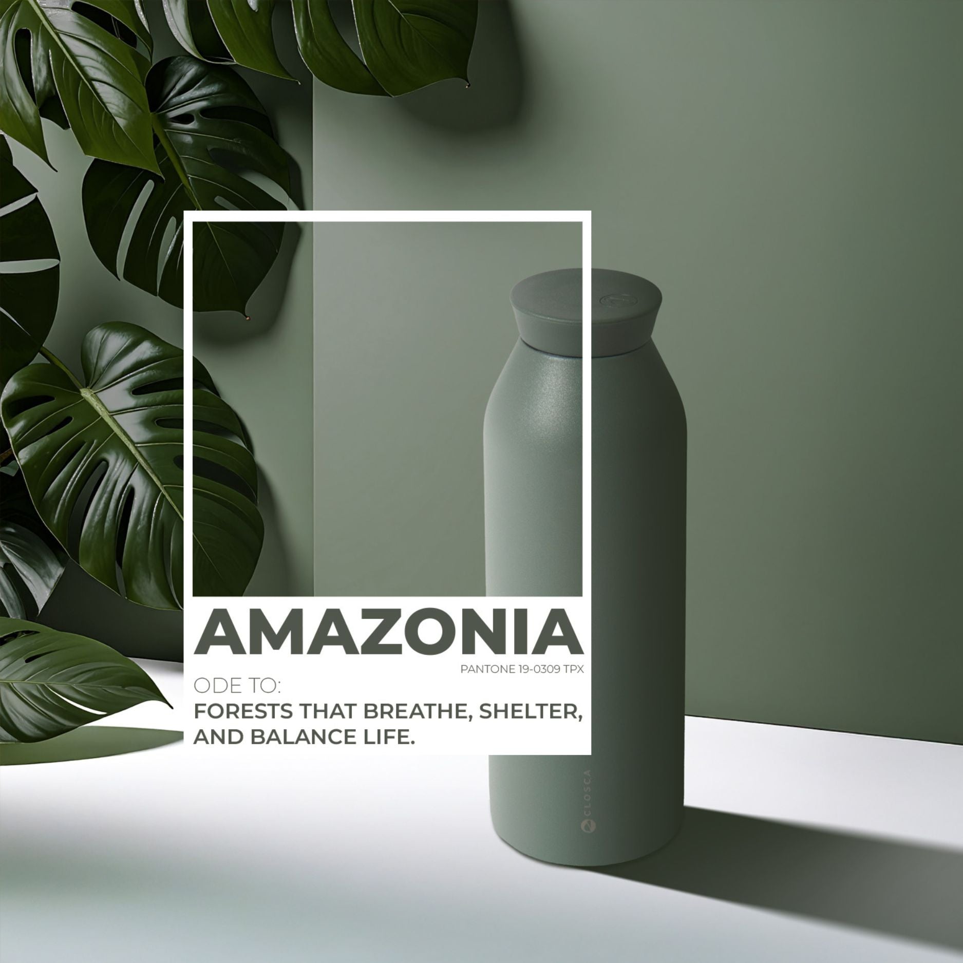 Closca Minimal Amazonia gourde isotherme 450 ml
