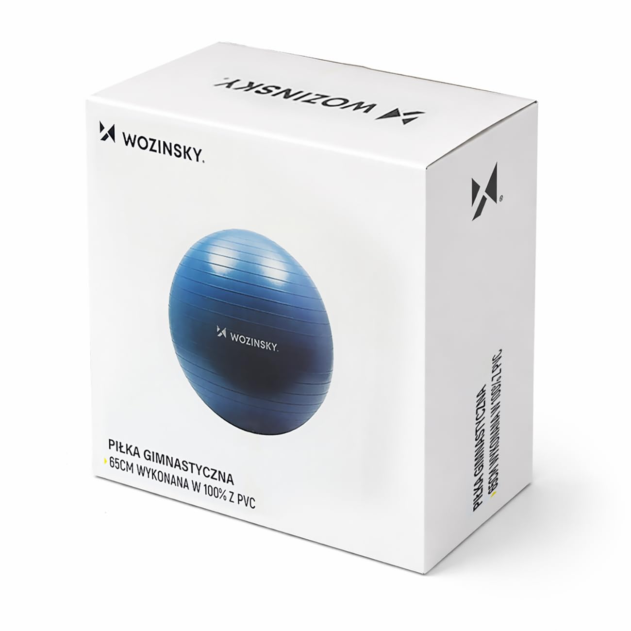 Wozinsky ballon gymnastique 65 cm bleu avec pompe