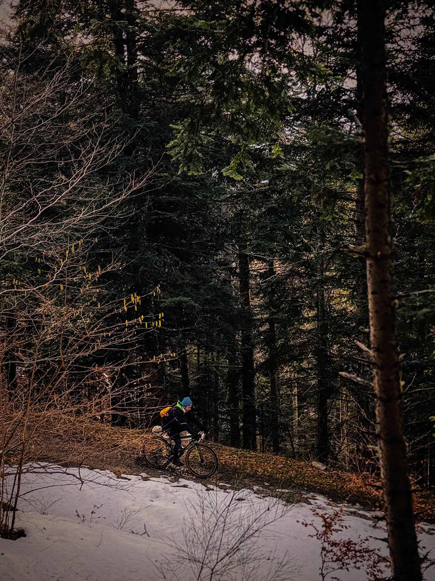 Atelier Velocidade Grizzli 2.0 sacoche guidon 17,8L forêt