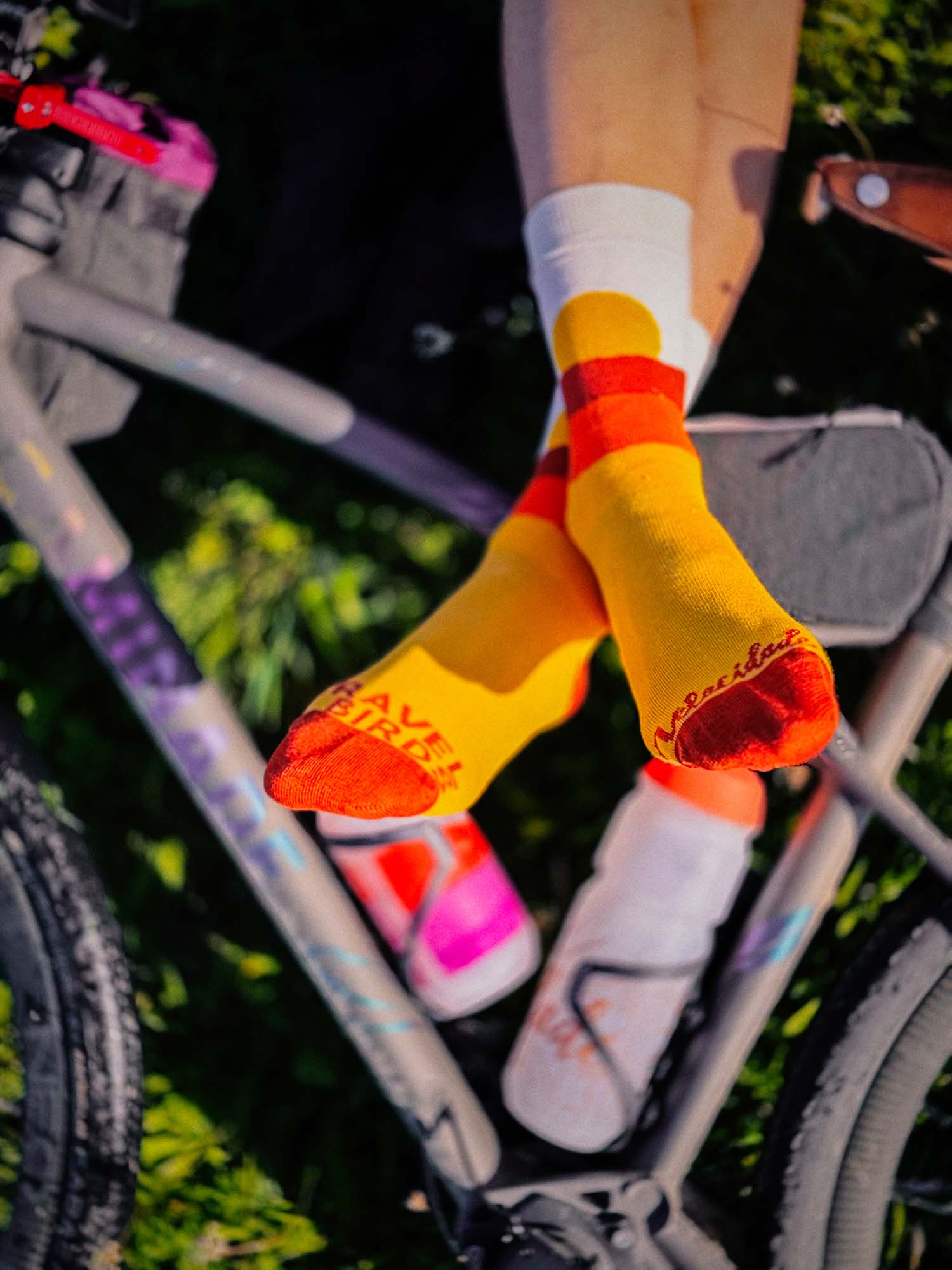 Atelier Velocidade Gravel Birds chaussettes vélo Écru 41-45