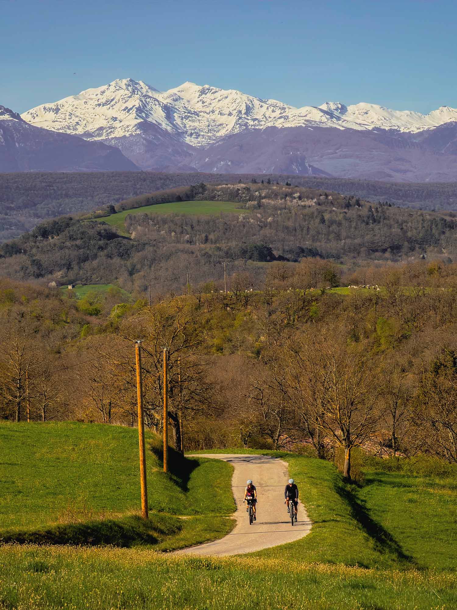 Atelier Velocidade Gravel Birds chaussettes vélo Écru 41-45