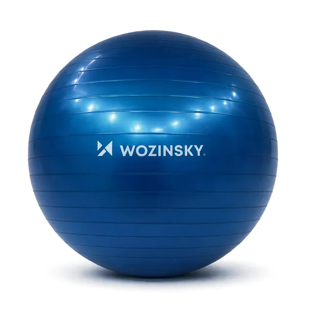 Wozinsky ballon gymnastique 65 cm bleu avec pompe
